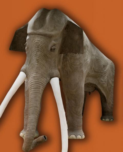 Elephas