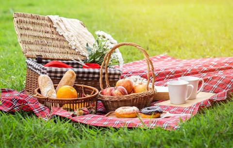 Pic Nic Pic Nic