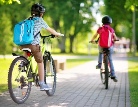 Immagine di bici e-bike Immagine di bici e-bike