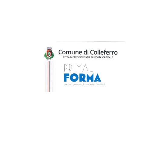 forma sp.jpg 