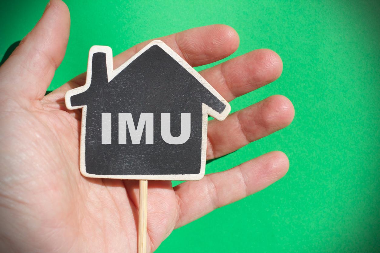 IMU 2025